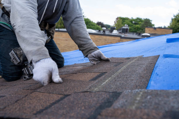 Quick and Trustworthy Emergency Roof Repair Services in Waynesburg, OH